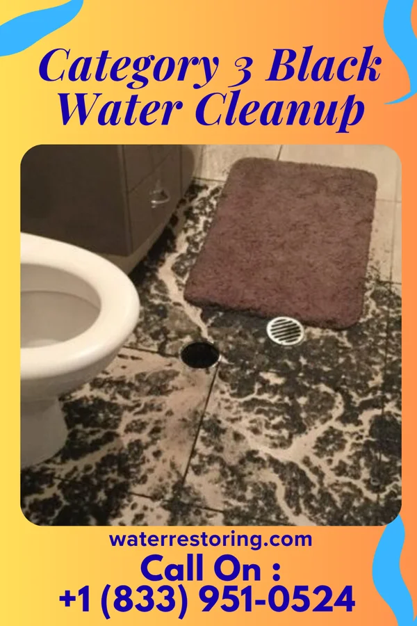 Category 3 Black Water Cleanup in Dover, MO