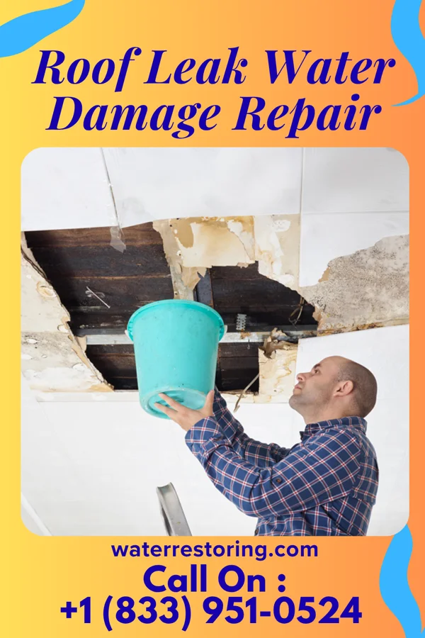 Roof Leak Water Damage Repair in Dover, MO